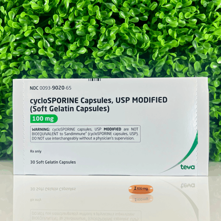 Cyclosporine Modified 100 mg Capsules for dogs and cats displayed in front of the product box with green background.