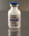 Ceftazidime for Injection for dogs, cats, and reptiles.