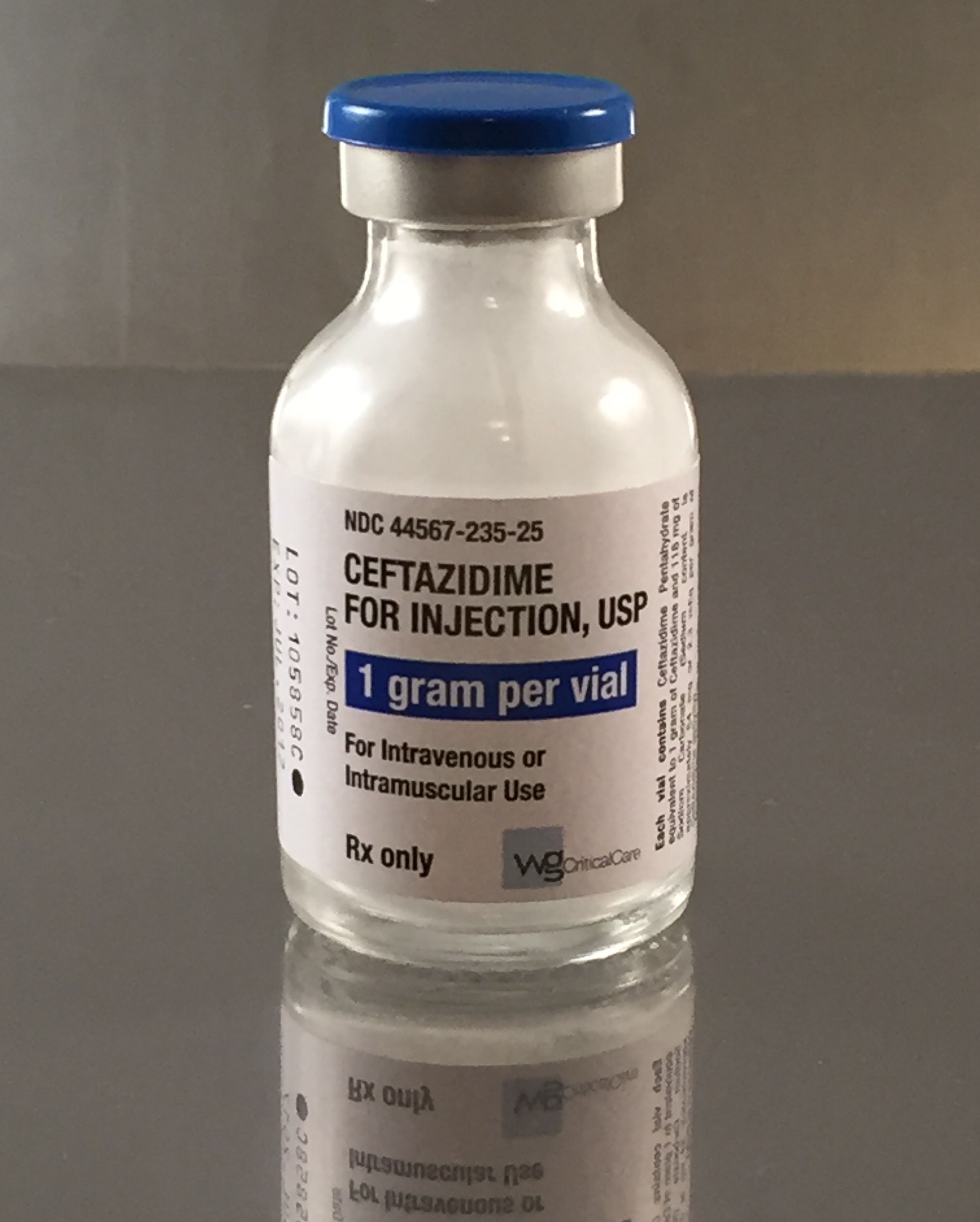 Ceftazidime for Injection for dogs, cats, and reptiles.