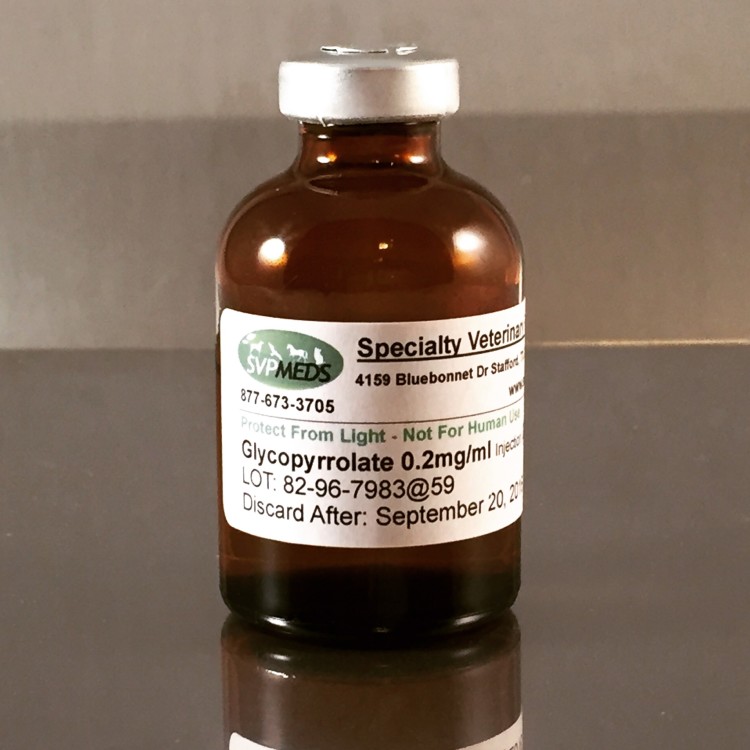 Glycopyrrolate 0.2mg/mL Injection compounded for dogs, cats, ferrets, horses and reptiles.