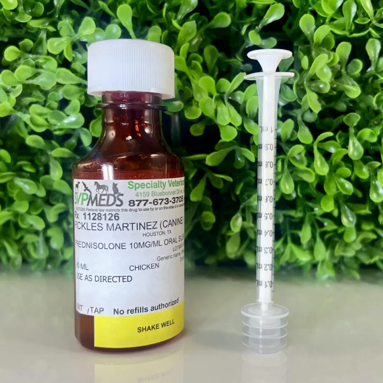 Prednisolone 10mg/mL flavored oral liquid compounded for dogs and cats with dosing syringe – SVPMEDS pharmacy bottle.