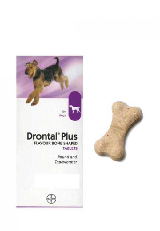 drontal for tapeworms in dogs