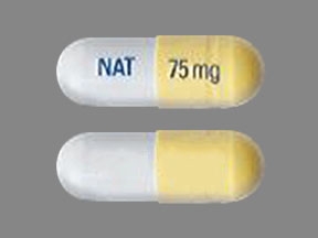 Oseltamivir Capsule prescribed for dogs.
