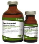 Praziquantel Injection prescribed for dogs and cats.