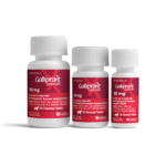 Galliprant Tablet prescribed for dogs.