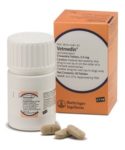 Vetmedin Chewable tablet prescribed for dogs.