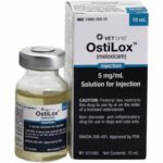 Meloxicam Injections prescribed for dogs.