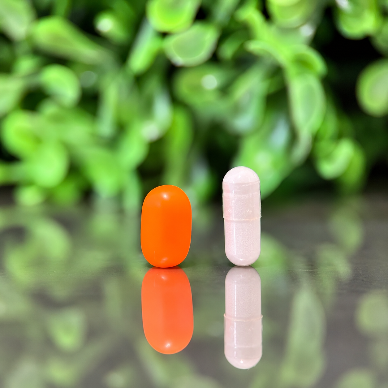 SVPMEDS GS-441524 compounded capsule for cats shown next to an orange Tic Tac for size comparison