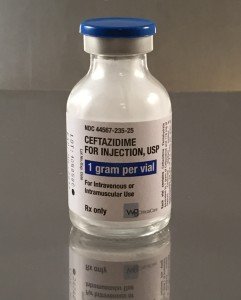 Ceftazidime 1gm Injection for dogs cats and reptiles