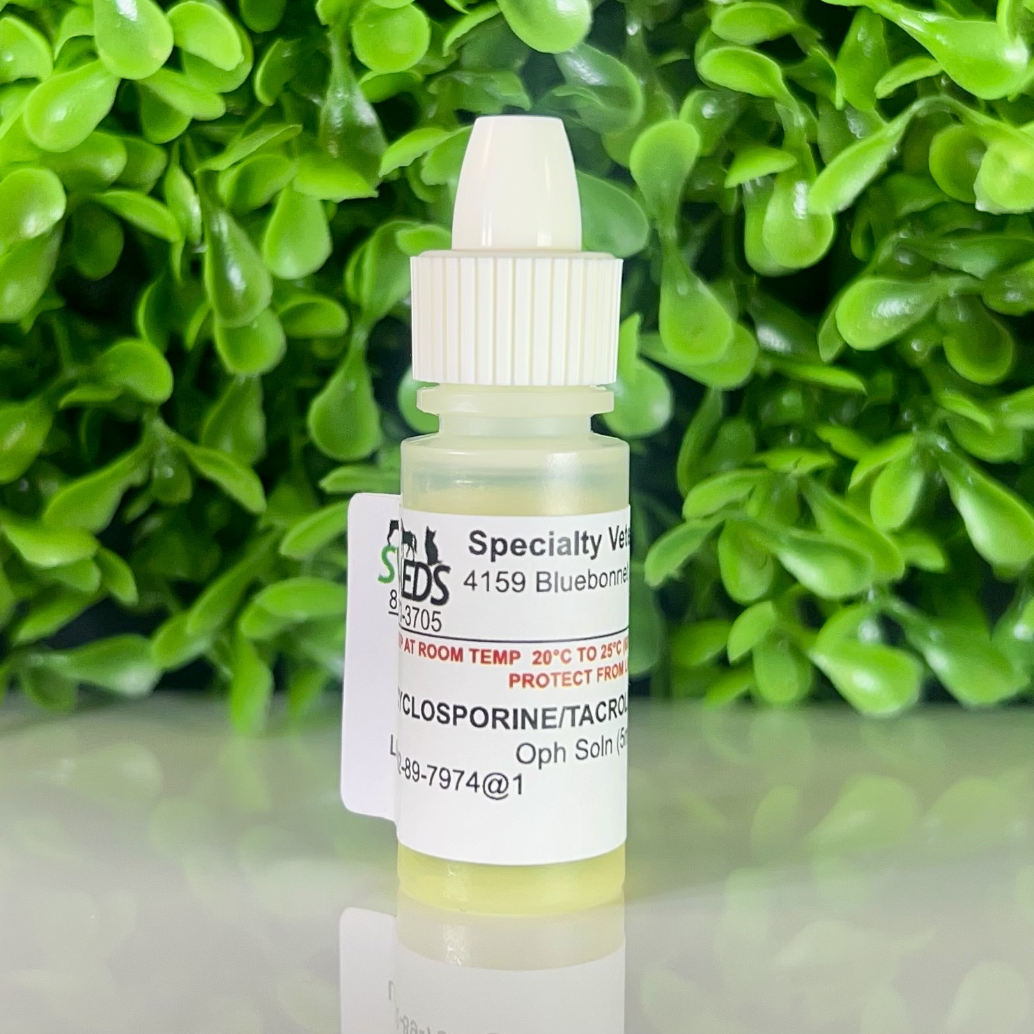 Cyclosporine 2% and Tacrolimus 0.03% combination ophthalmic solution compounded for dogs in a 5 mL dropper bottle
