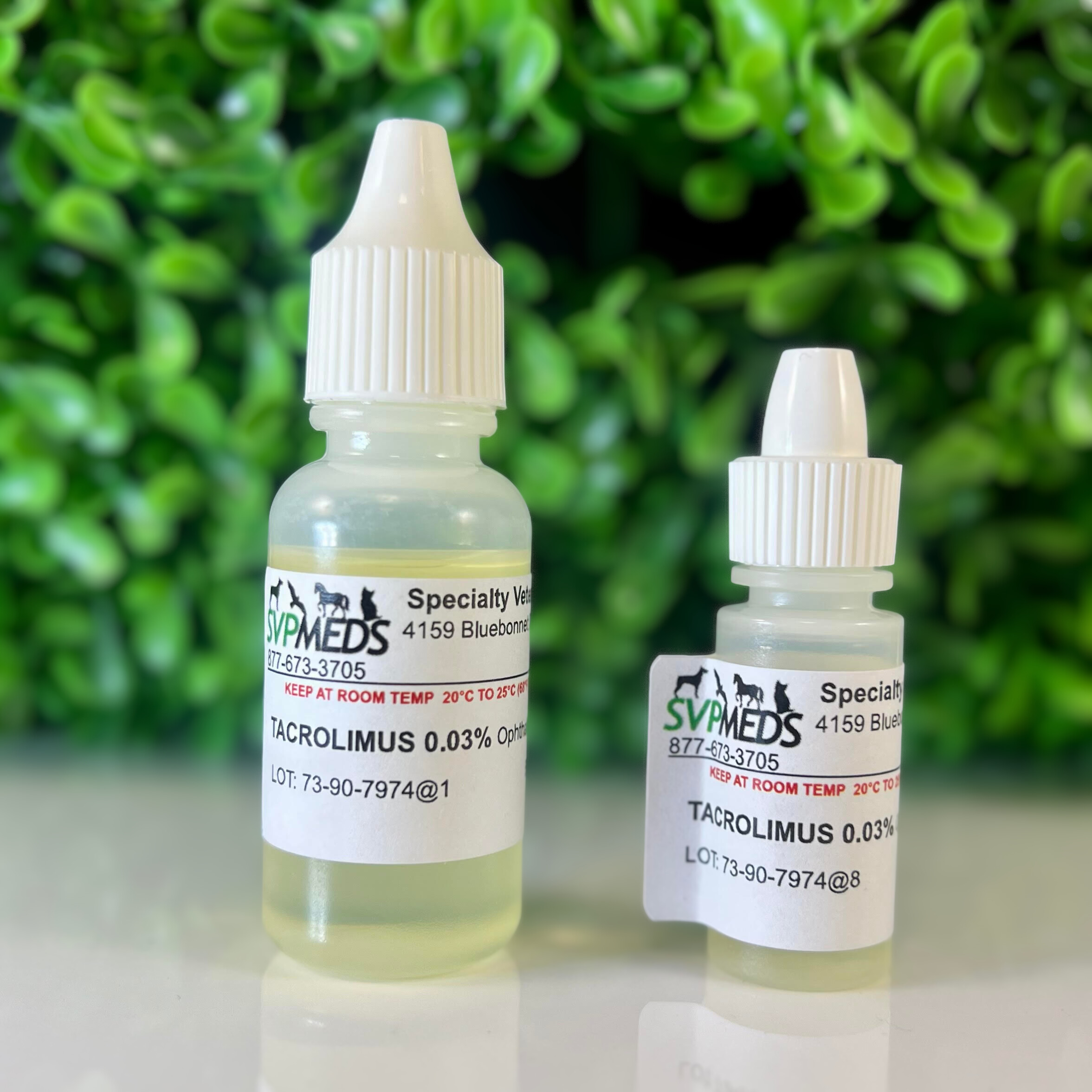 Tacrolimus 0.03% Ophthalmic Solution in Oil for Dogs | SVPMEDS