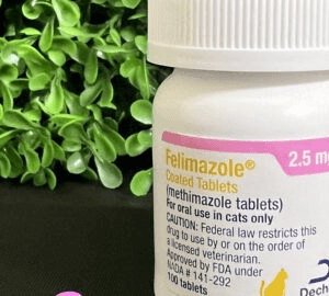 Felimazole Tablets for Cats
