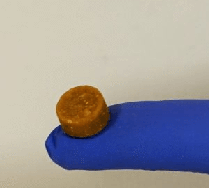 Nitrofurantoin Chewable Compounded for dogs and cats.