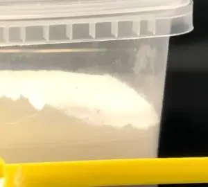 Aluminum Hydroxide Oral Powder compounded for dogs and cats.