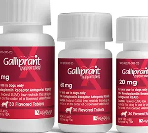 Galliprant Tablet prescribed for dogs.