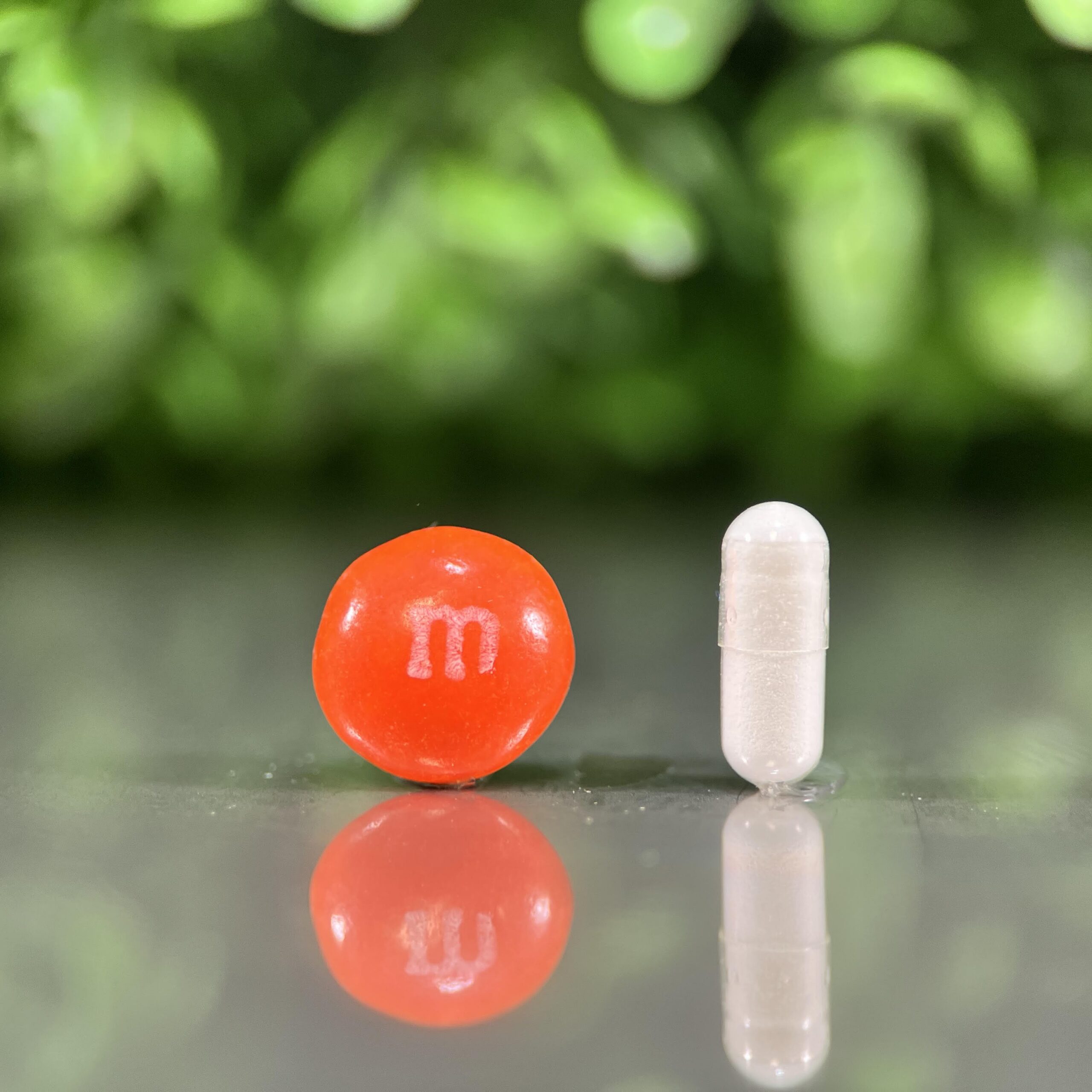 White Molnupiravir compounded capsule for cats shown beside an orange M&M candy for size comparison