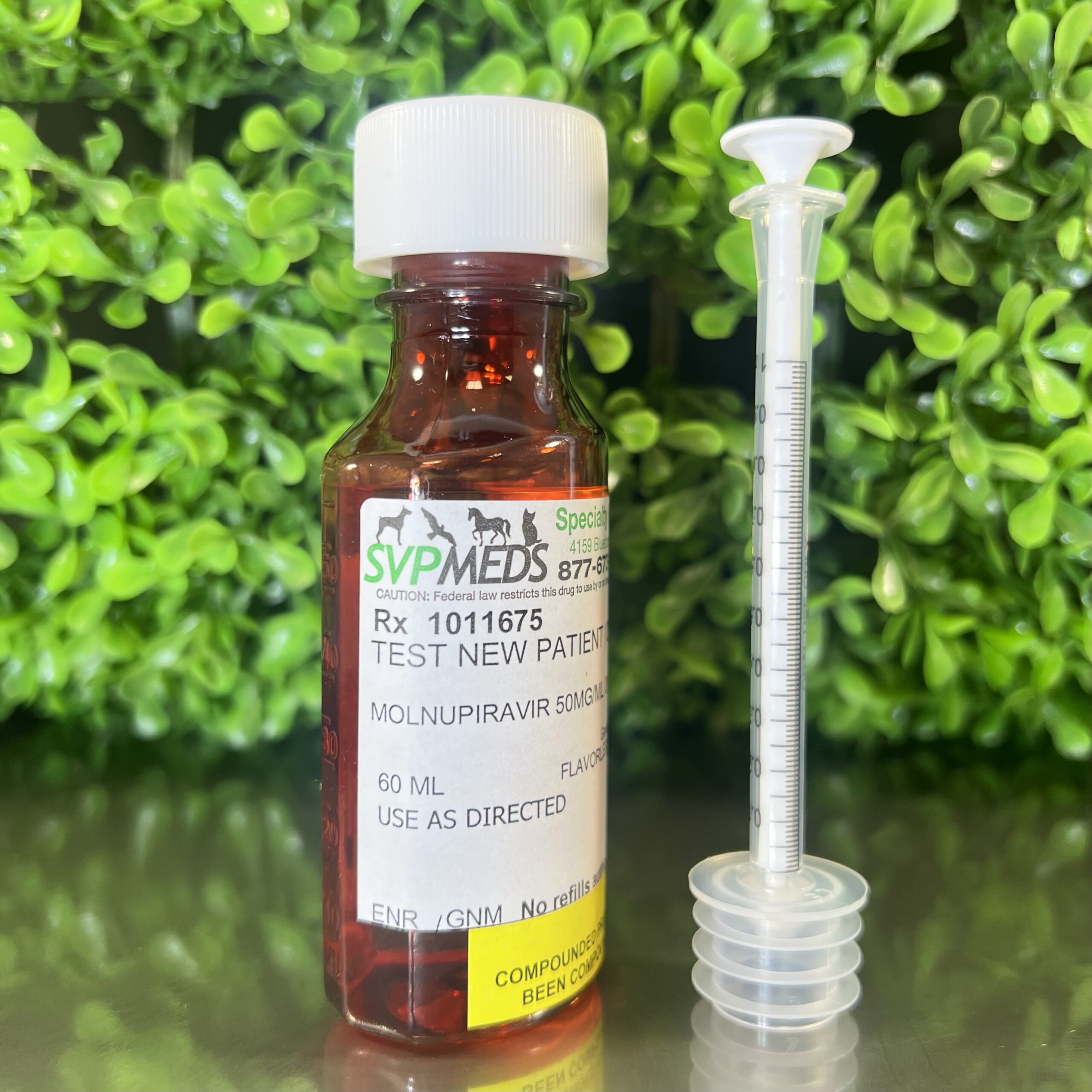 SVPMEDS compounded Molnupiravir oral liquid for cats in an amber prescription bottle with oral dosing syringe